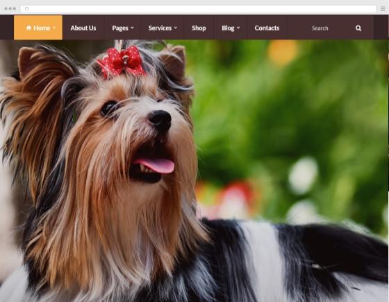 Making my website groomer pets